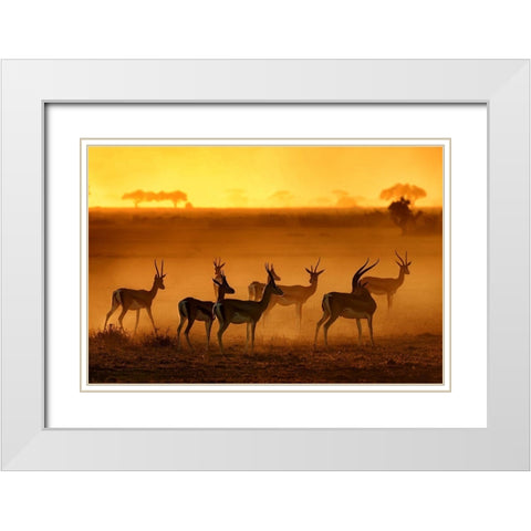Golden Light White Modern Wood Framed Art Print with Double Matting by Guillemot, Mathilde
