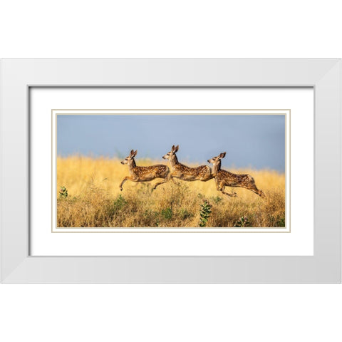 Tripple Jump White Modern Wood Framed Art Print with Double Matting by Verdon