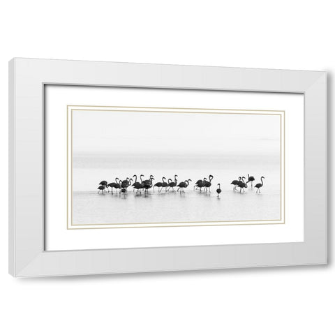 Flamingos White Modern Wood Framed Art Print with Double Matting by Gil Raga, Joan