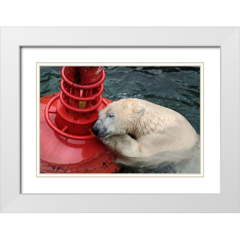 My Buoy A My Melon White Modern Wood Framed Art Print with Double Matting by Wenner-Braun, Antje