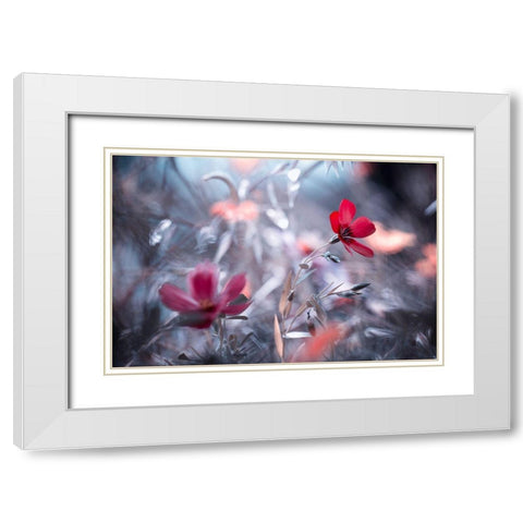 Une Fleur-Une Histoire White Modern Wood Framed Art Print with Double Matting by Bravin, Fabien