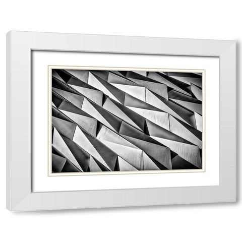 Rough Skin White Modern Wood Framed Art Print with Double Matting by Jeanes, Matthew