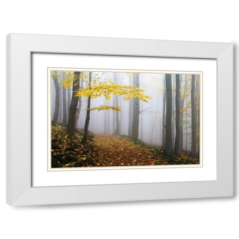 Untitled White Modern Wood Framed Art Print with Double Matting by Rak, Martin