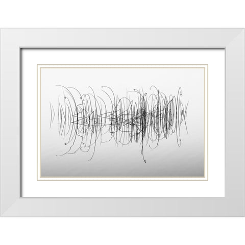 Graphic White Modern Wood Framed Art Print with Double Matting by Pettersson, Benny