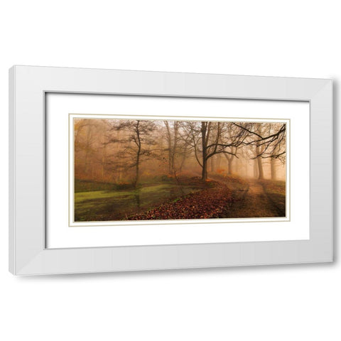 Which Path Ii White Modern Wood Framed Art Print with Double Matting by Londal, Leif
