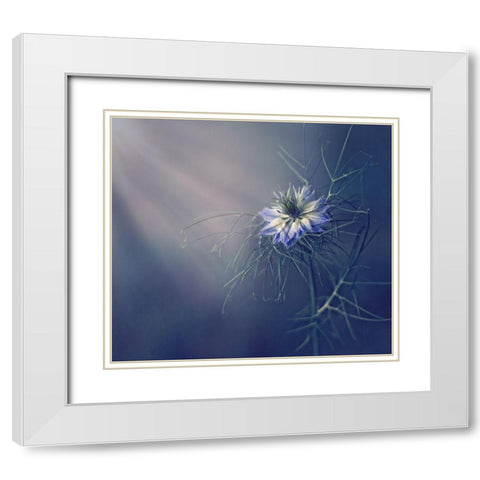 ....* White Modern Wood Framed Art Print with Double Matting by Lazarov, Dimitar