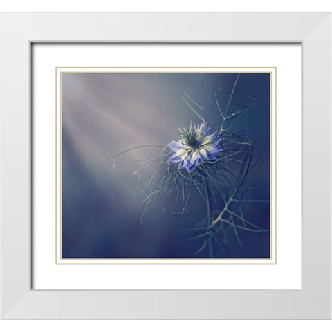 ....* White Modern Wood Framed Art Print with Double Matting by Lazarov, Dimitar