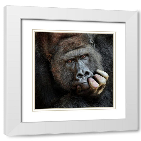 Dont Forget Me .... White Modern Wood Framed Art Print with Double Matting by Wenner-Braun, Antje
