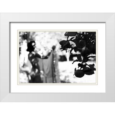Apples Ii White Modern Wood Framed Art Print with Double Matting by Kreigere, Inese