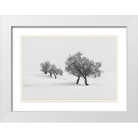 White Carpet Ii White Modern Wood Framed Art Print with Double Matting by Carrillo Lopez, Antonio