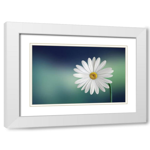 Flower White Modern Wood Framed Art Print with Double Matting by Hamiti, Bess