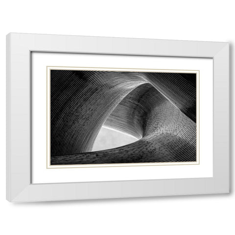 Entwined White Modern Wood Framed Art Print with Double Matting by Pfeiffer, Peter
