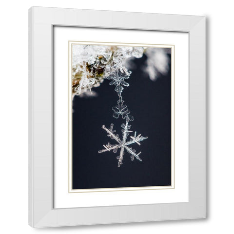 Pendant White Modern Wood Framed Art Print with Double Matting by Ritoniemi, Sami