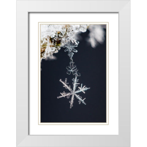 Pendant White Modern Wood Framed Art Print with Double Matting by Ritoniemi, Sami
