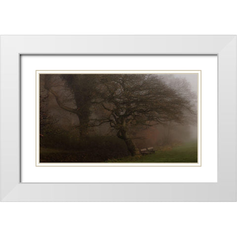 If The Tree Could Talk White Modern Wood Framed Art Print with Double Matting by Londal, Leif