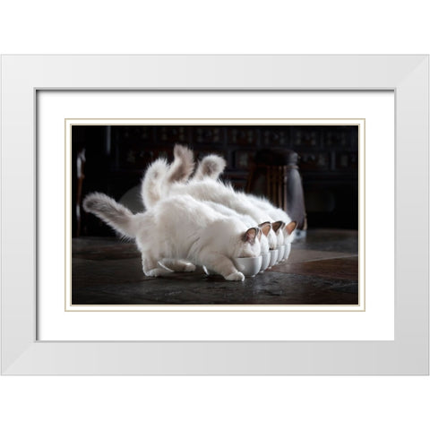 Let There Be Milk White Modern Wood Framed Art Print with Double Matting by Lehto, Timo