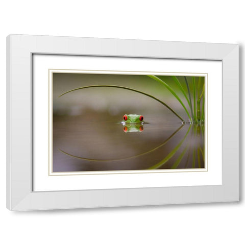 Beauty Of Reflection White Modern Wood Framed Art Print with Double Matting by Uddin, Kutub