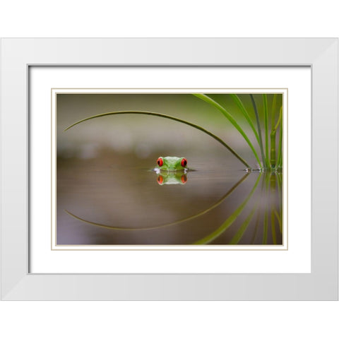 Beauty Of Reflection White Modern Wood Framed Art Print with Double Matting by Uddin, Kutub
