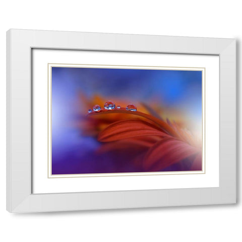 Metamorphosis White Modern Wood Framed Art Print with Double Matting by Nan, Juliana