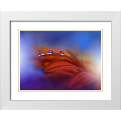 Metamorphosis White Modern Wood Framed Art Print with Double Matting by Nan, Juliana