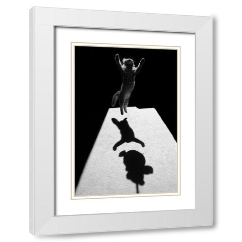 Edgar The Great White Modern Wood Framed Art Print with Double Matting by Kravanja, Jure