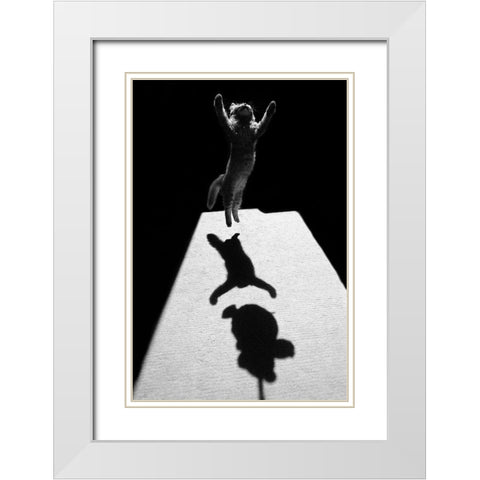 Edgar The Great White Modern Wood Framed Art Print with Double Matting by Kravanja, Jure