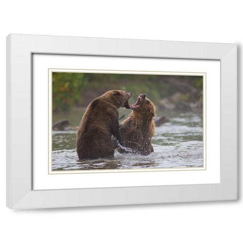 Bears War White Modern Wood Framed Art Print with Double Matting by Ferraro, Valerio