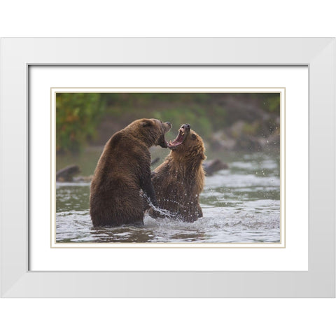 Bears War White Modern Wood Framed Art Print with Double Matting by Ferraro, Valerio