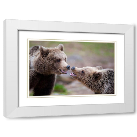 Close Contact White Modern Wood Framed Art Print with Double Matting by Eriksson, Robin