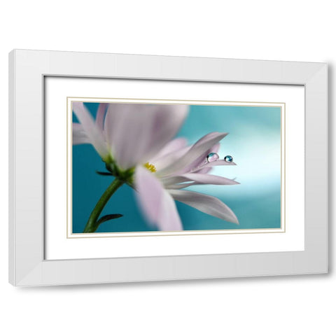In Turquoise Company White Modern Wood Framed Art Print with Double Matting by Westum, Heidi