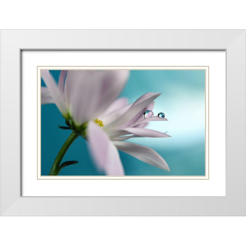 In Turquoise Company White Modern Wood Framed Art Print with Double Matting by Westum, Heidi