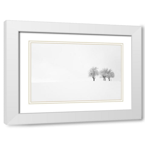 Tree And Silence White Modern Wood Framed Art Print with Double Matting by Bajrich, Amir