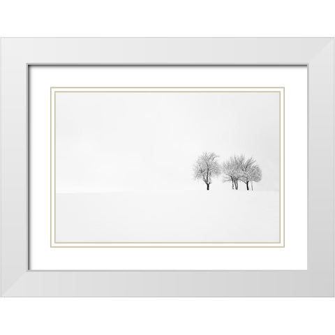 Tree And Silence White Modern Wood Framed Art Print with Double Matting by Bajrich, Amir