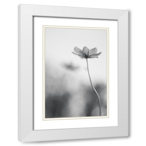 An Ordinary Dream White Modern Wood Framed Art Print with Double Matting by Ghosh, Udayan