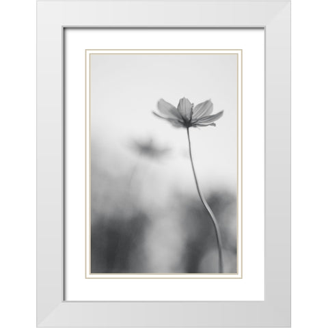 An Ordinary Dream White Modern Wood Framed Art Print with Double Matting by Ghosh, Udayan