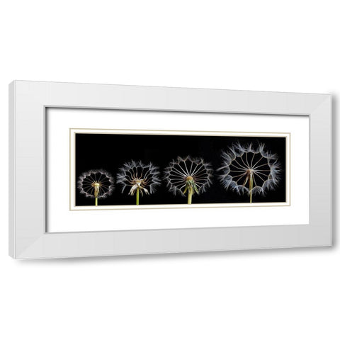 Family Portrait White Modern Wood Framed Art Print with Double Matting by Lionse, Art