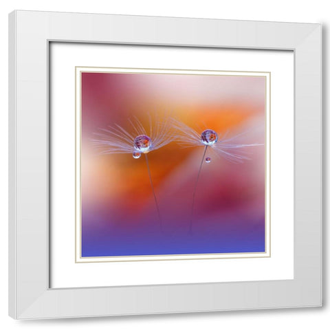 Two Worlds White Modern Wood Framed Art Print with Double Matting by Nan, Juliana