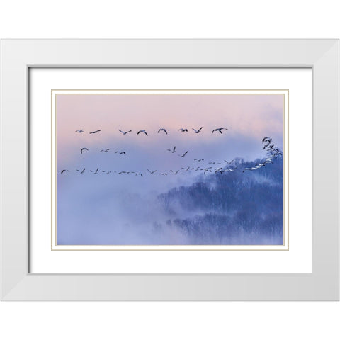 Poems And Dreams (Em?A??Ei?Ae?Andsup1;) White Modern Wood Framed Art Print with Double Matting by Li, Austin