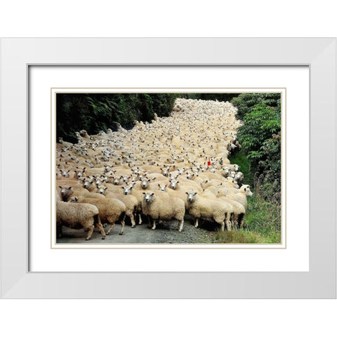 New Zealand Traffic Jam White Modern Wood Framed Art Print with Double Matting by Tzur, Yair