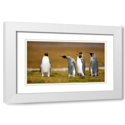 Who Has Been? White Modern Wood Framed Art Print with Double Matting by Gil Raga, Joan