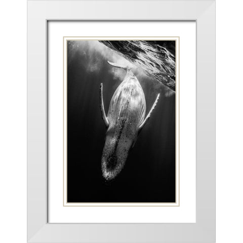 Black A Whale White Modern Wood Framed Art Print with Double Matting by Gabriel, Barathieu