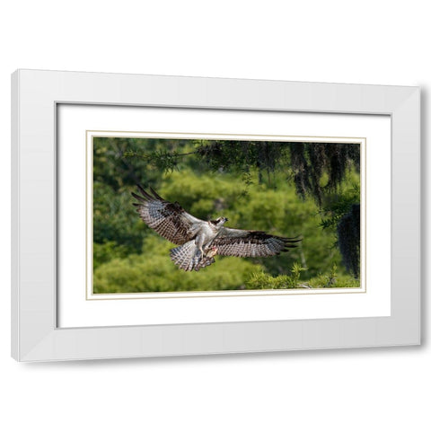 The Girl Has A Fish ! White Modern Wood Framed Art Print with Double Matting by Forns, Alfred