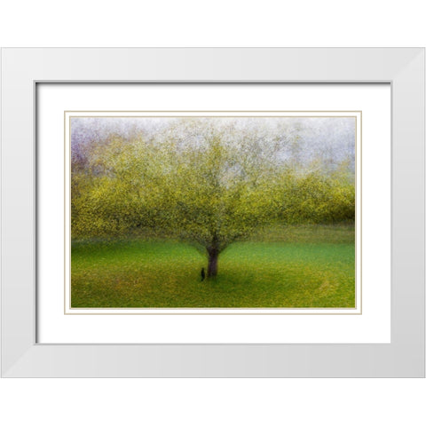 The Cat By The Tree White Modern Wood Framed Art Print with Double Matting by Ostlund, Arne