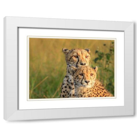 Double Team White Modern Wood Framed Art Print with Double Matting by Marx, Jaco