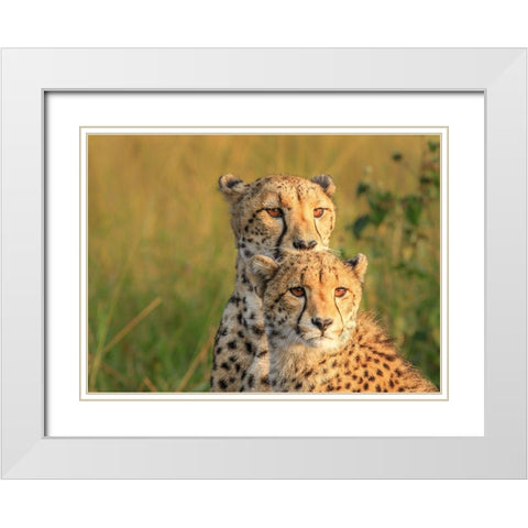 Double Team White Modern Wood Framed Art Print with Double Matting by Marx, Jaco