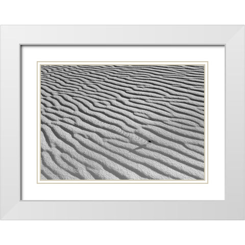 The Long Journey White Modern Wood Framed Art Print with Double Matting by Skilbeck, Christian
