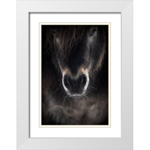 Ulysses White Modern Wood Framed Art Print with Double Matting by Ri, P