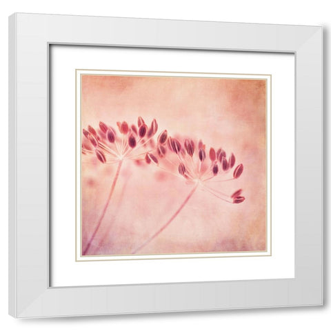ILl Wait All Winter White Modern Wood Framed Art Print with Double Matting by Wettstein, Priska
