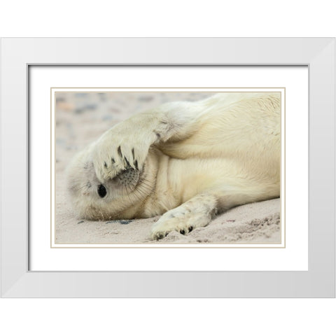 Peekaboo White Modern Wood Framed Art Print with Double Matting by Breuker, Hillebrand