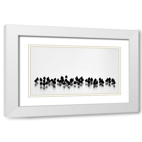 Eurasian Coots White Modern Wood Framed Art Print with Double Matting by Vasilev, Yordan